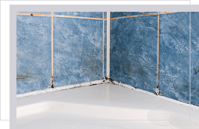 Featured image for Moldy Grout Stains: Cleaning Solutions.